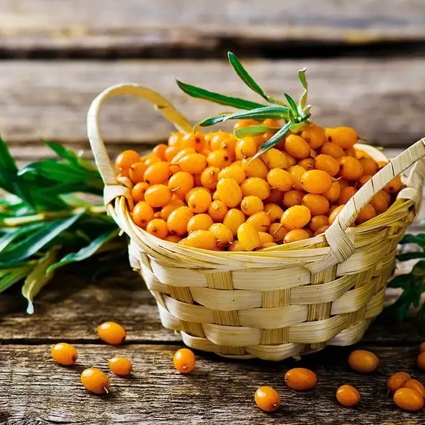 Premium Kashmiri Sea Buckthorn Berries – Nature's Most Complete Superfood | 190+ Nutrients